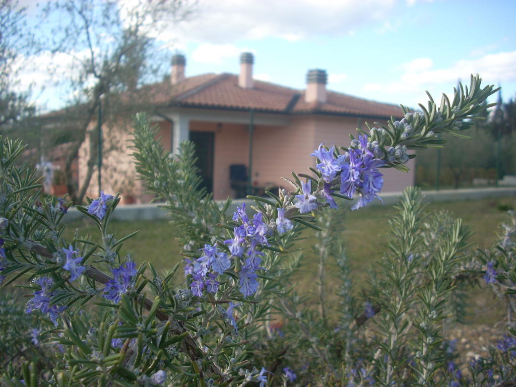 Residence Ai Campi Da Golf Saturnia Rum bild
