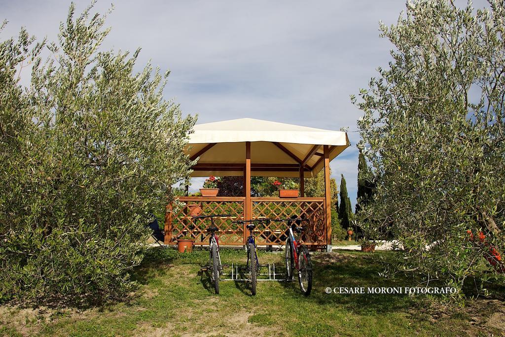 Residence Ai Campi Da Golf Saturnia Rum bild