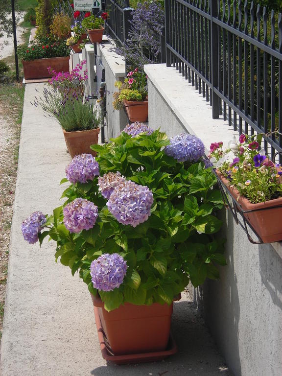 Residence Ai Campi Da Golf Saturnia Rum bild